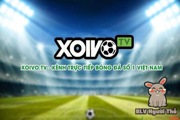 Xoivo TV - Link xem Xoivo trực tiếp bóng đá mới nhất 2023 6 Xoivo TV là gì?